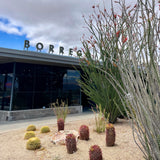 Building and front entrance of the Borrego Art Institute art gallery in Borrego Springs, CA