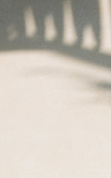 blurred palm tree shadow cast on a blank cream wall