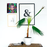 Female portrait art print hanging on a wall in a home in the entryway