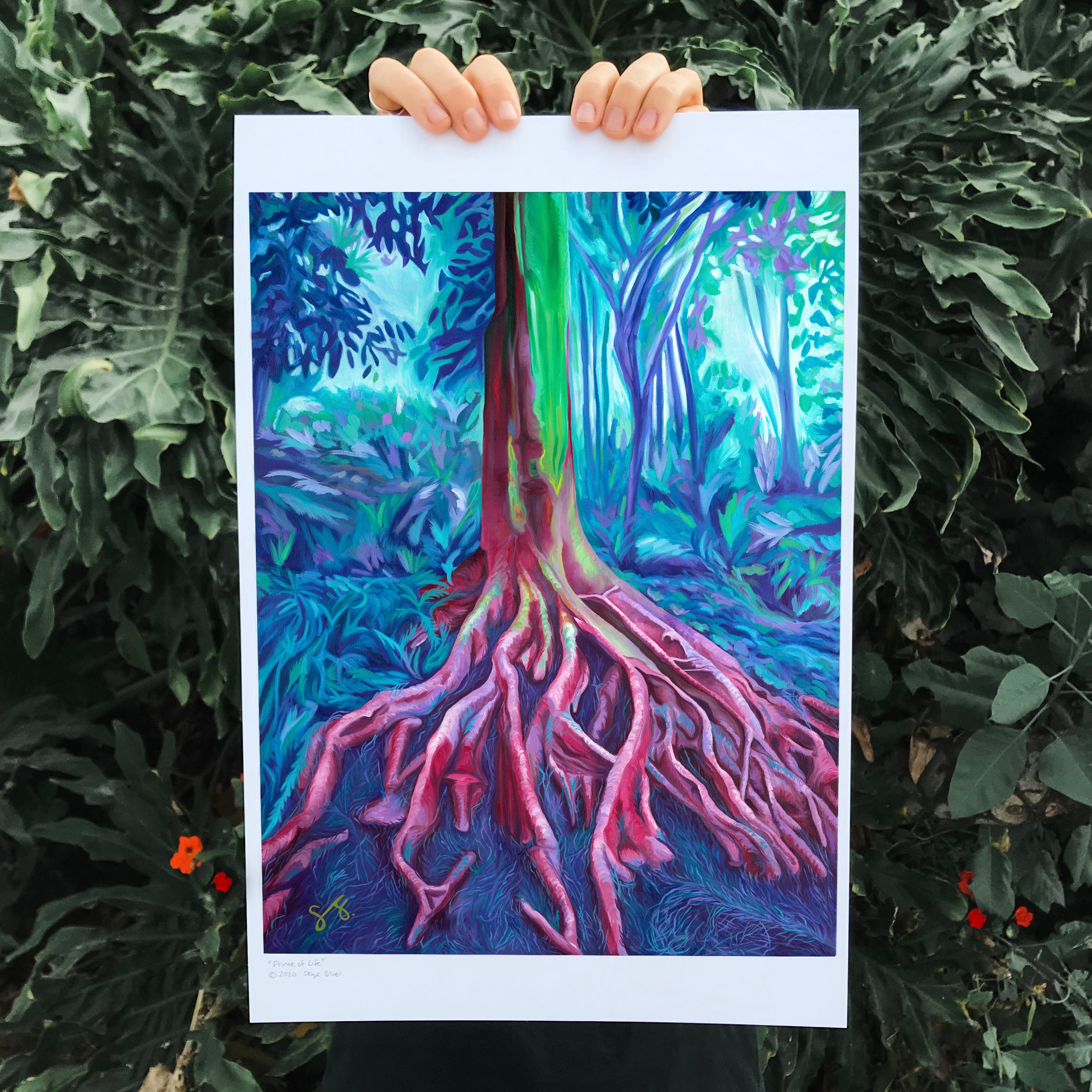 Colorful art print of a ficus tree at the San Diego Zoo and Balboa Park photographed in front tropical plants